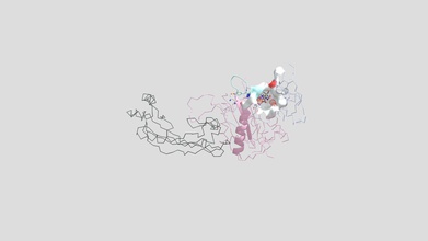 paeruginosa s pbp3 medicamentosas meropenem - modelo 3d mainalafage 37a2d39 proteína de ligação à penicilina 3 responsável formação ligações cruzadas entre peptidoglycan camadas bactéria&rsquo da parede celular -lactam antibiótico que inibe o processo ligadas site ativo, portanto, parar biossíntese resultados lise osmótica morte bactéria 3d print model - Mito3D