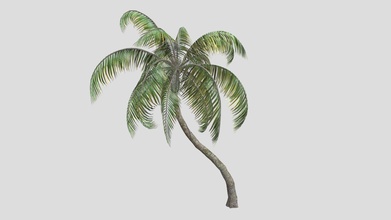 Palma árvore coco Comprar realeza livre 3d modelo datec estúdio 48fb43a 3d print model - Mito3D