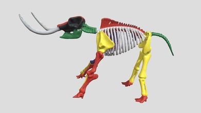 Palmer mastodonte modèle vcu 3d 5666 virtuel curation laboratoire virtualcurationlab bea08b8 3d print model - Mito3D