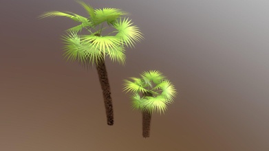 palmtrees - buy royalty free 3d model nugarkovic 3dbd40d two low poly palm trees chamaerops humilis 3d print model - Mito3D