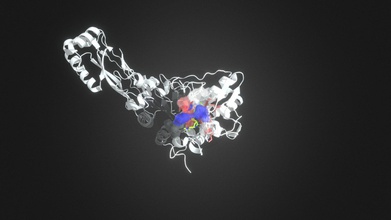 pbp3 complexé méropénème - Modèle 3d ayezee 6eafb41 penicillin-binding-protein 3 périplasmique transférase, enzyme qui catalyse la réticulation du peptidoglycane monomères dernière étape de biosynthèse paroi cellulaire bactérienne se produit protéine reconnaît lie épine dorsale d-alanyl-d-alanine sérine site actif le méropénem intraveineuse d'antibiotique utilisé contre les infections, telles celles ofpseudomonas aeruginosa pa roman multi-résistantes aux agents pathogènes œuvres inhibiteur compétitif papbp3, en raison son -lactame analogique manière covalente sérine, irréversible l'inactivation l'enzyme résultat réduction rigidité cellulaire, inévitablement, provoquant l'éclatement cellule vedette p annotations montrer certaines interactions important -lactamines reconnaissance liaison bien mécanisme bactéries ont résistance 3d print model - Mito3D