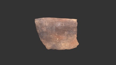 pee dee complicated stamped bowl rim 700p2302 - 3d model rla archaeology rla-archaeology 66efa32 3d print model - Mito3D