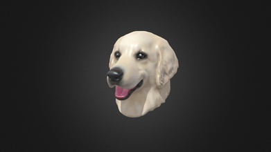 peggy's golden retriever draft model - 3d seed mi seedbymi 24f9c8b custom made interested order jewellery eg ring necklace earrings bracelet brooch magnet hair clips cufflinks etc please visit our online store facebook page instagram 3d print model - Mito3D