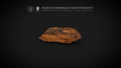 pétrifié bois opale 3d modèle musée minéralogie pétrographie uaic mineralogypetrographymuseum 243636a 3d print model - Mito3D