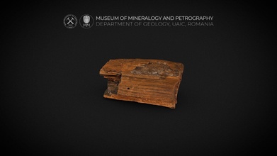 pétrifié bois opale 3d modèle musée minéralogie pétrographie uaic mineralogypetrographymuseum a12c508 3d print model - Mito3D