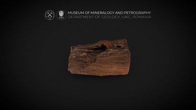 pétrifié bois opale 3d modèle musée minéralogie pétrographie uaic mineralogypetrographymuseum b367e8b 3d print model - Mito3D