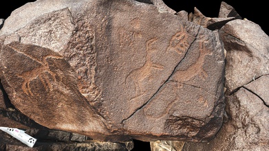 petroglyph n9 khatm al melaha kalba sharjah - 3d model global digital heritage globaldigitalheritage 810fb88 arabian oryx left two syrian wild ass right several unidentifed images probably neolithic earlier these common motifs southern arabia oman uae fossati 2019 messages past rock art al-hajar mountains spectacular archaeological site coast sea near one largest sites there also stone houses shell midden tombs other features date has having occupations least early holocene 19th century over 175 stones petroglyphs were documented close 400 identified every glyph given id number gps coordinate total 25455 terrestrial photographs 5244 drone 44 videos 182 points + 1cm done single day all processed reality capture 3d print model - Mito3D