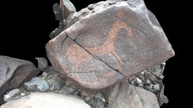 petroglyph v22 khatm al melaha kalba sharjah - download free 3d model global digital heritage globaldigitalheritage 168589b syrian wild ass curved line below animal common element likely neolithic 5th-4th millennium bce fossati 2019 messages past rock art al-hajar mountains oman spectacular archaeological site coast sea near uae one largest sites there also stone houses shell midden tombs other features date has having occupations least early holocene 19th century over 175 stones petroglyphs were documented close 400 motifs identified every glyph given id number gps coordinate total 25455 terrestrial photographs 5244 drone 44 videos 182 points + 1cm done single day all processed reality capture 3d print model - Mito3D