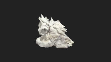 petrous temporal bone horse - 3d model vetanatmunich 2fbe44b 3d print model - Mito3D