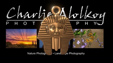 pharaon pendentif acheter royalties libre 3d modèle alolkoy 4c33fa0 3d print model - Mito3D