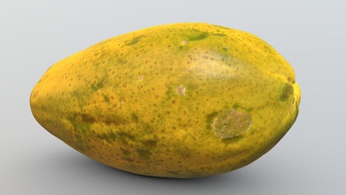 photorealistic papaya - buy royalty free 3d model florian ludewig flolu 0e4a145 photo-realistic perfect every use-case ranging games film animation available three different levels detail texture maps scale up 8k all meshes uv-mapped have clean mesh also has real world lod0 30k vertices mostly quads lod1 3k lod2 613 textures albedo ambient occlusion normal roughness specular metallic please contact me personally if you interested raw files 3 million still questions feel any time can find information my website https flolucom 3d print model - Mito3D
