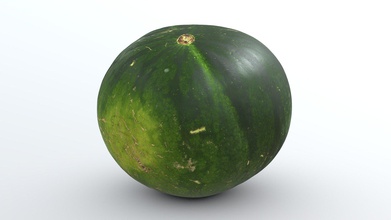 photorealistic watermelon - buy royalty free 3d model florian ludewig flolu bc21ae0 photo-realistic perfect every use-case ranging games film animation available four different levels detail texture maps scale up 8k all meshes uv-mapped have clean mesh melon also has real world lod0 94k vertices mostly quads lod1 9k lod2 18k lod3 563 textures albedo ambient occlusion normal roughness specular metallic please contact me personally if you interested raw files 3 million still questions feel any time can find information my website https flolucom 3d print model - Mito3D
