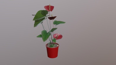 photoscan anthurium plant - buy royalty free 3d model 3dpotsm 81ad531 3d print model - Mito3D