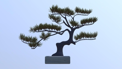 pino árbol de los bonsais - modelo 3d lannooniels 526fa2b creado 3ds max interior detallado representación ideal estilo japonés diseño interiores elemento 3d print model - Mito3D
