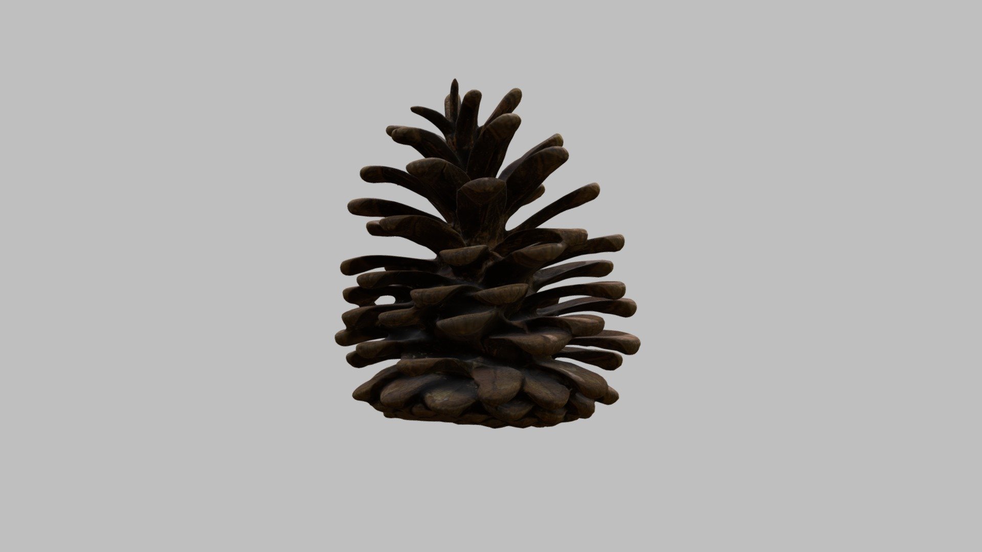 pine cone - 3d model lvl dream 022b327 3D print model - Mito3D
