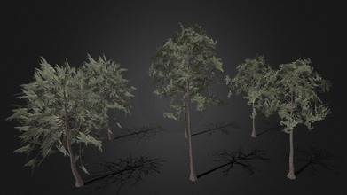 çam ağaç varyasyonlar poli varyantlar indir Bedava 3d model rbg çizimler Stark Endüstrileri 209a0ca 3d print model - Mito3D