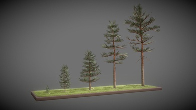 çam ağaçlar Kiefer çocuk satın almak telif Bedava 3d model vis all e8719cb ağaç çimen Baum Çiçekler el yapımı mantarlar game ready real time kozalaklı software service john 3d print model - Mito3D