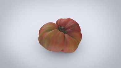 pink tomato - buy royalty free 3d model shu digital 0d293d1 barbastro huesca scanned using photogrammetry 4k textures 3d print model - Mito3D
