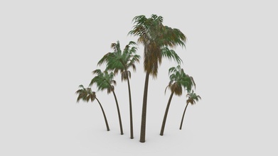 plam tree-s4 - buy royalty free 3d model asma greenkish2020 62f5b4a 3d print model - Mito3D