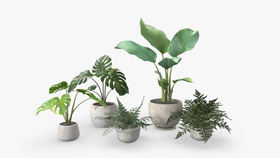 plant pack 01 - buy royalty free 3d model mozzarellaarc pot pot-plant interior 3d print model - Mito3D