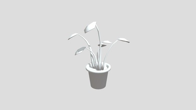 plantas 3december2020 plant baixar livre 3d modelo piyushgautam2802 b242058 3d print model - Mito3D