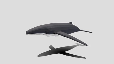 poly cartoon humpback whale - buy royalty free 3d model chroma3d vendol21 5513e2b 3d print model - Mito3D