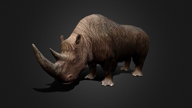 poli wolly rinoceronte acquistare royalty gratuito 3d modello idi paduladi 0cf6e1e 3d print model - Mito3D