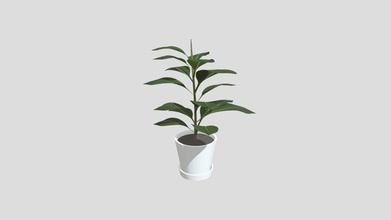 vaso albero della gomma vegetale comprare royalty-free modello 3d signor adams uncleacid82 944e196 tutti i tuoi prop esigenze - 3d print model - Mito3D