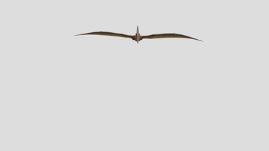 pteranodon animated - download free 3d model spidercraft9972 oscarlopezriviello 7d7683d 3d print model - Mito3D