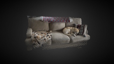 cachorro adormecido sofá lidar Varredura baixar livre 3d modelo mr Trevor tjmartin97 ce16655 3d print model - Mito3D