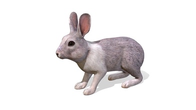 tavşan animasyonlar satın almak telif Bedava 3 boyutlu model Billl90 e9d549f 3d print model - Mito3D