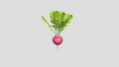 radish - buy royalty free 3d model 3dlowpoly plant meal cooking vegetable vegetables salad root ingredient lowpoly poly gameready 3d print model - Mito3D
