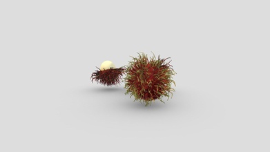 rambutan fruits 3d model - buy royalty free chandrarati 749ef9a 3d print model - Mito3D