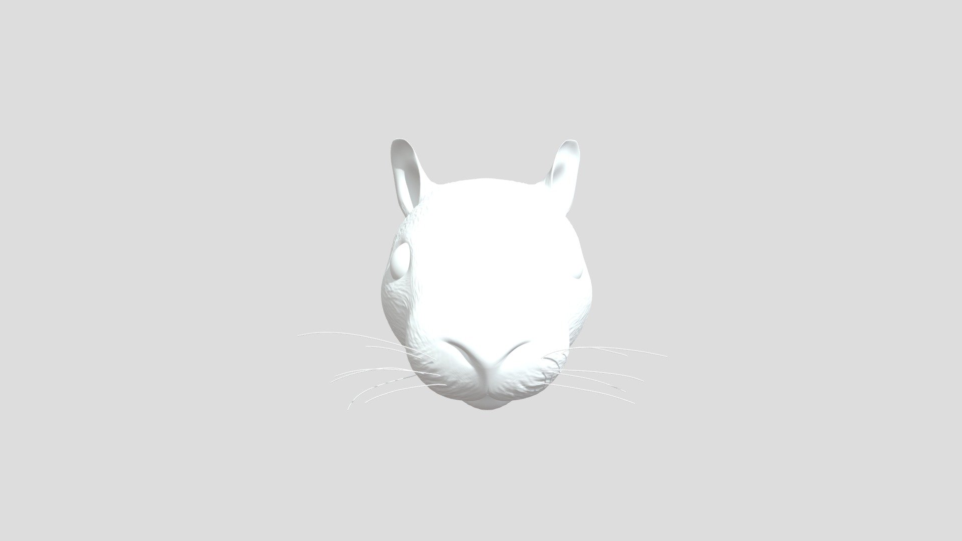 rat head - download free 3d model hyopsodus 64063ae 3D print model - Mito3D