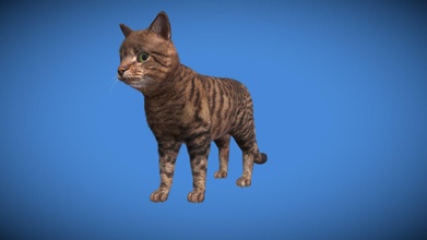 realistic cat real-time fur - 3d model indiecats 2676458 3d print model - Mito3D