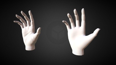 realistic female hand - buy royalty free 3d model whyblue c745008 3d print model - Mito3D