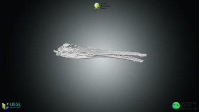 reptil cr ne cocodrilo thalattosuchus descargar gratis 3d modelo soci ecológico Francia sgfrance 24de7b9 3d print model - Mito3D