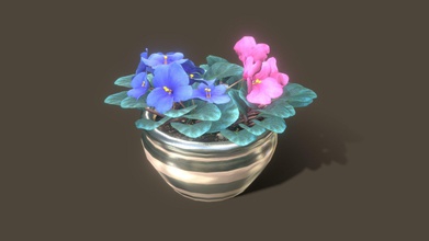 saintpaulia flowers high-poly - download free 3d model elena elenaferfor cace4f8 3d print model - Mito3D