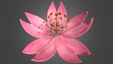 sakura Cereza flor cerezo 3d modelo tsubasa Arte a757b73 3d print model - Mito3D