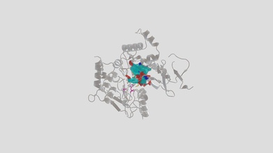 sarin acetilcolinesterasi - modello 3d samjasmine25 aa9a14e mostra le interazioni tra enzima suo inibitore 3d print model - Mito3D