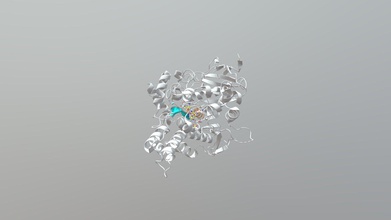4b0faad sarin asetilkolinesteraz engelleyici - 3d model finlayburke zehirli sinir gazı bağlar engeller enzim Kas stimülasyon gerekli olan actylcholine yarma involed 5 temel etkileşim alanları sunar önleyici 3d print model - Mito3D