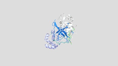 sars-cov-2 Haupt-protease-komplexe n3 - 3d-Modell willothewisp 83940a0 main protease mpro homodimer die wesentlichen viralen Replikation durch Proteolyse Polypeptide übersetzt virale rna Modell der Interaktion zwischen protomer-Mechanismus-basierter inhibitor gezeigt active site tritt irreversibel hemmt kovalente Bindung Erreger covid-19 weltweite Pandemie hat wenige lebensfähige Behandlungen Entwicklung ähnlich-Hemmer unterbrechen Lebenszyklus sind wichtige Meilenstein betrachten 3d print model - Mito3D