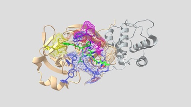 2cb2972 3d model potrimpo sars-apolar-2 mpro + n3 inhibitörü 19 yüzyılın en büyük küresel sağlık krizi haline gelmiştir salgın sars Corona-apolar-2 covid 5 milyon kişi 300 000'den fazla hayatını kaybetti bulaşmış detayları protein-ligand etkileşimi tasarlanmış bir enzim anahtarı virüs çoğaltma karmaşık gösterir - 3d print model - Mito3D