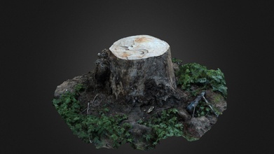 scanned cut tree - download free 3d model 6amsunset frasix42 6ab42b4 3d print model - Mito3D