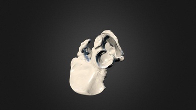 Varredura 3d modello plastica di osso quadril humano modelo scan3dservice ac959a0 3d print model - Mito3D