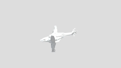sci avion modèle 3d surface dure 1628db6 3d print model - Mito3D