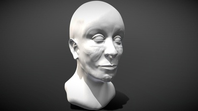 sculpture entraine 12 acheter royalties libre 3d modèle Ryan Roi art ryankingart bb130a8 3d print model - Mito3D