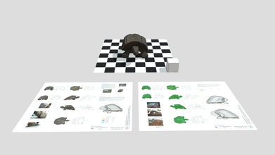 Scultura lignea di tartaruga 3 boyutlu model Rossi Romina oksitomina a4c2338 3d print model - Mito3D