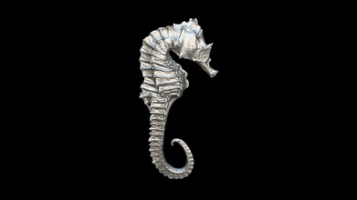 sea-horse - download free 3d model thunk3d lilyqin1 f4cfbce 3d print model - Mito3D