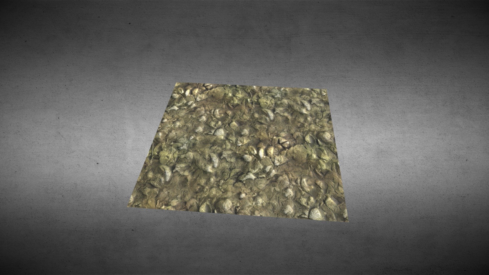 seamless alveo texture - modello 3d kyler kelpi e017299 trama fatta costituito da pietre, fango, foglie senza soluzione di continuità 3D print model - Mito3D